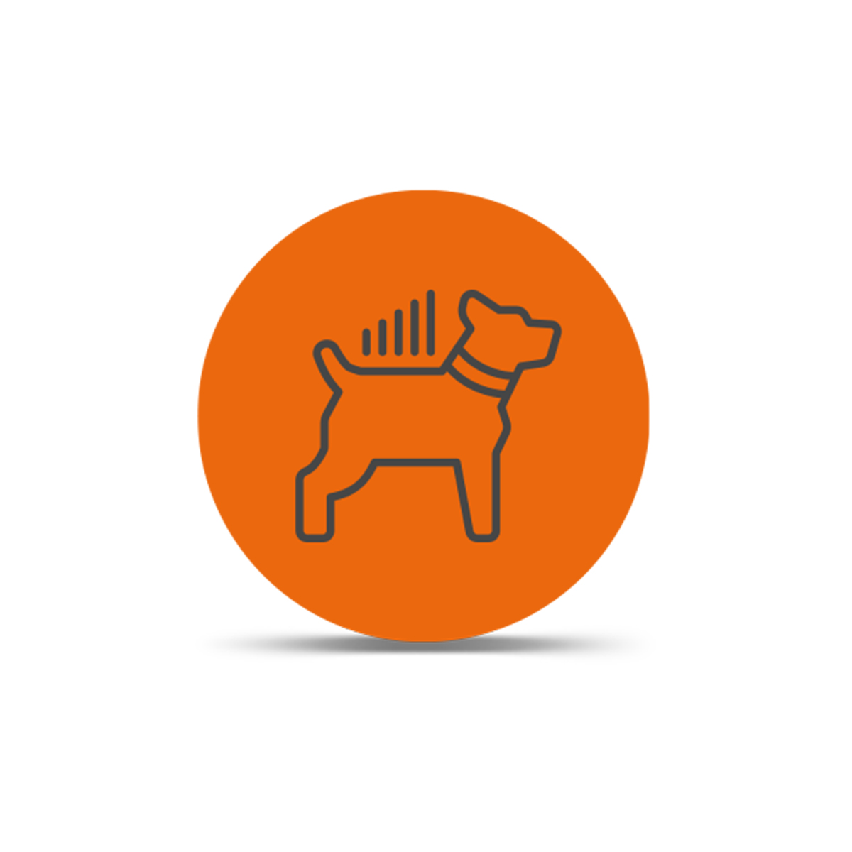LTE Dog Tracking Plans