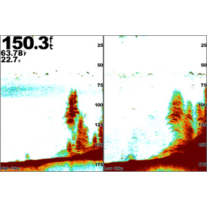 GSD™ 25 Premium Sonar Module - Image 4